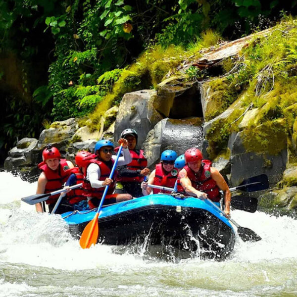 4 DAYS BUKIT LAWANG ORANG UTAN TREKKING & WHITE WATER RAFTING TOUR