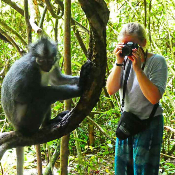 4 DAYS BUKIT LAWANG ORANG UTAN JUNGLE TREKKING TOUR (STAY IN TENT)