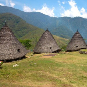 8 DAYS FLORES LAND TOUR & KOMODO TOUR