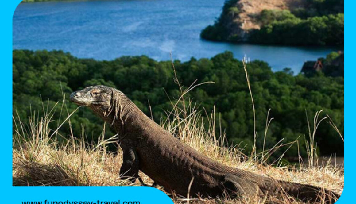 blog fun odyssey travel (2)