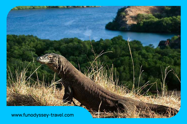 blog fun odyssey travel (2)