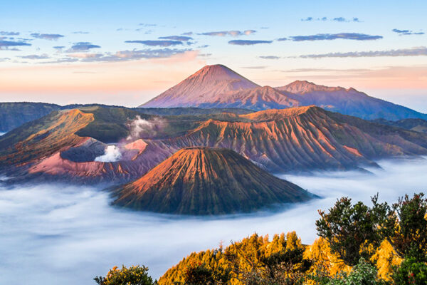 bromo new image