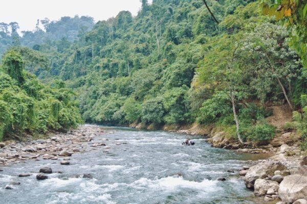 bukit lawang