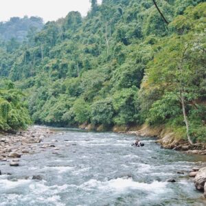 3 DAYS BUKIT LAWANG ORANG UTAN TREKKING TOUR