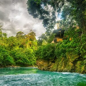 5 DAYS BUKIT LAWANG TREKKING & TANGKAHAN THE ELEPHANT JUNGLE TOUR: ADVENTURE, JUNGLE, RIVER, ANIMALS