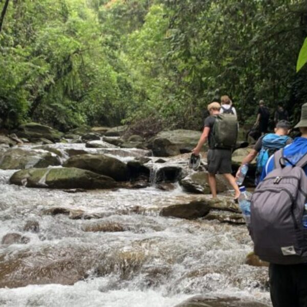 3 DAYS BUKIT LAWANG ORANG UTAN TREKKING TOUR