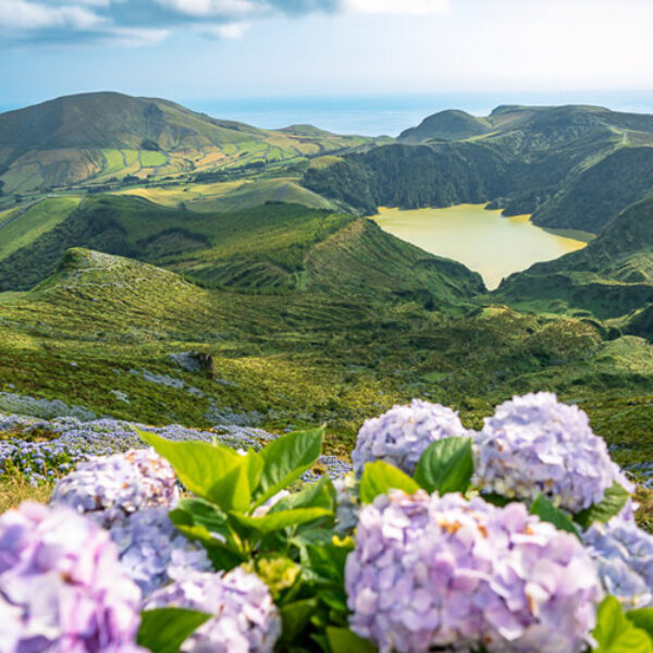 7 DAYS FLORES KOMODO CLASSIC TOUR