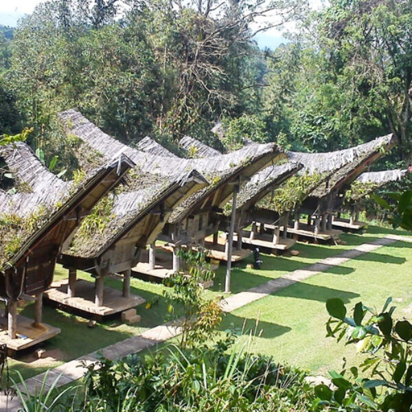5 DAYS MAKASSAR TANA TORAJA CULTURAL TOUR