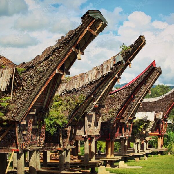 5 DAYS MAKASSAR TANA TORAJA CULTURAL TOUR