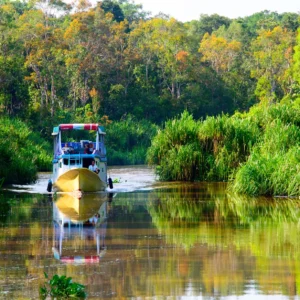 3 DAYS ORANG UTAN TOUR TANJUNG PUTING NP