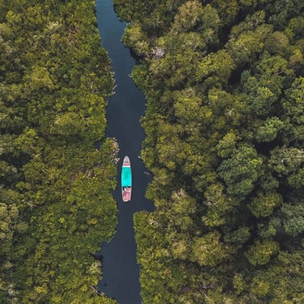 4 DAYS ORANG UTAN TOUR TANJUNG PUTING NP