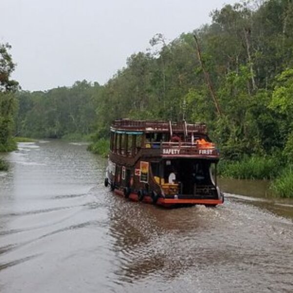 4 DAYS ORANG UTAN TOUR TANJUNG PUTING NP