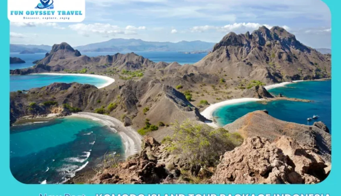 Komodo Island Tour Package Indonesia