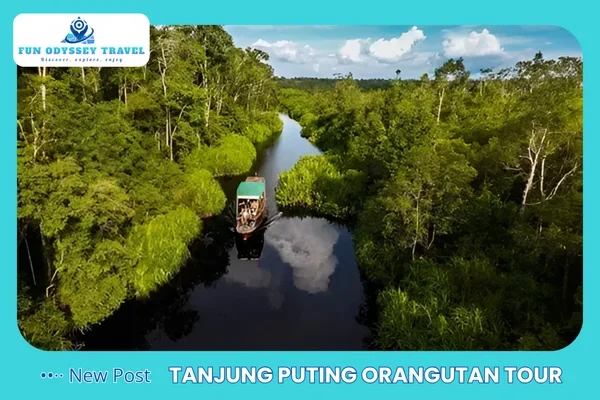 Tanjung Puting Orangutan Tour Borneo