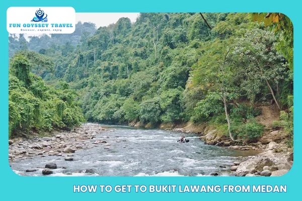 How to Get to Bukit Lawang from Medan