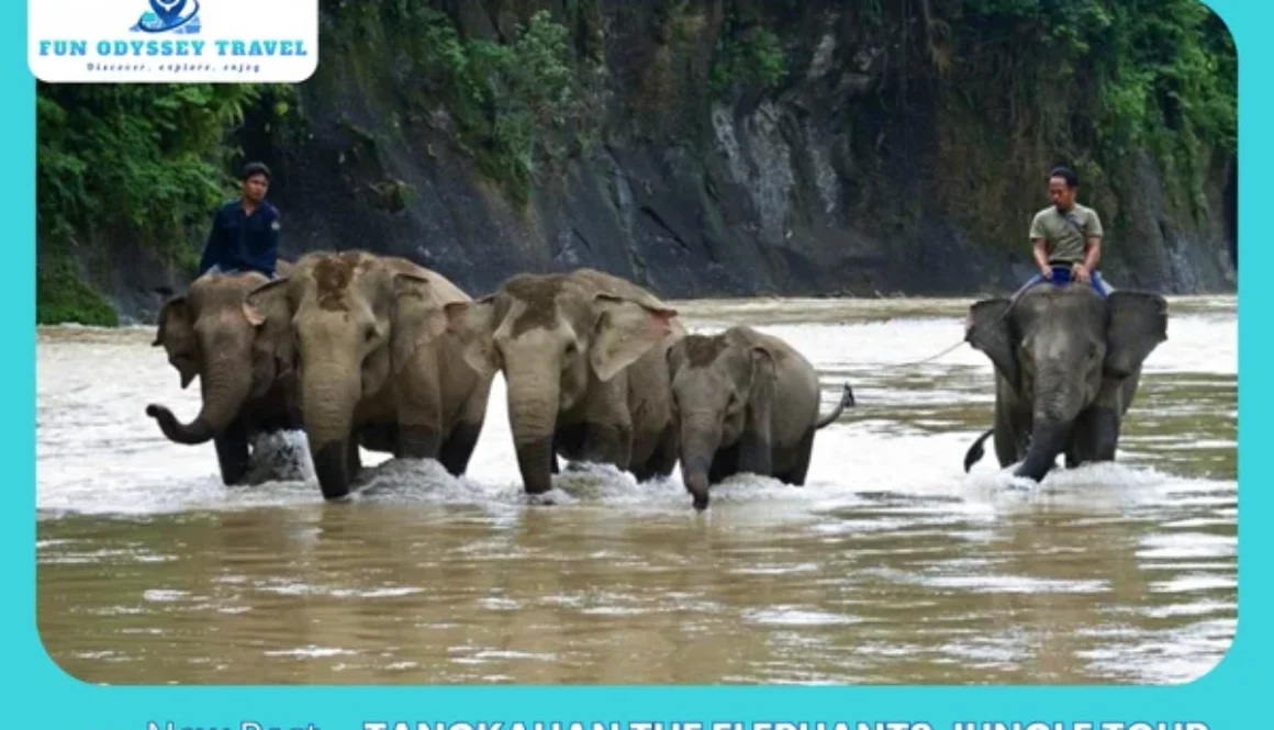 Tangkahan The Elephants Jungle Tour