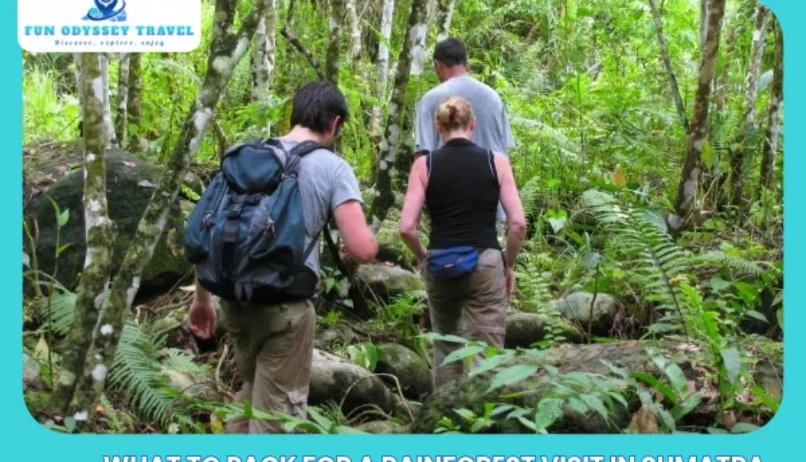 What to Pack for a Rainforest Visit in Sumatra