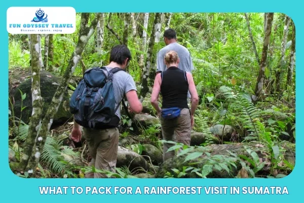 What to Pack for a Rainforest Visit in Sumatra